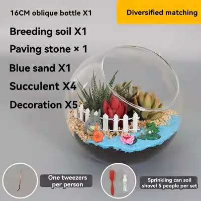 Desert Escape Growarium: Exquisite Miniature Desert Ecosystem  |  Science & Discovery Learning & Development Science & Discovery